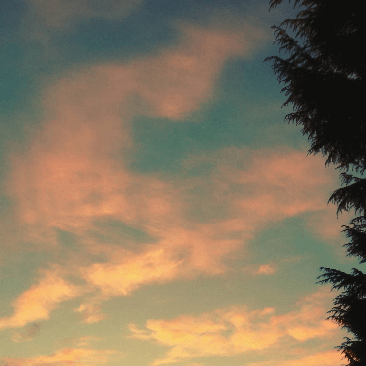 Spinea - Lìalba di un podista