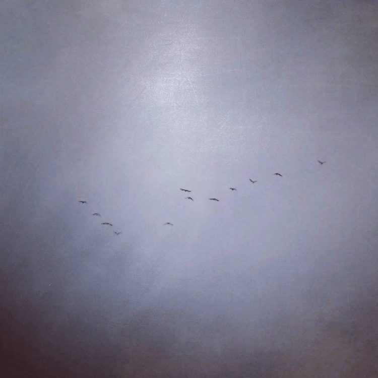 Spinea - Andata o ritorno