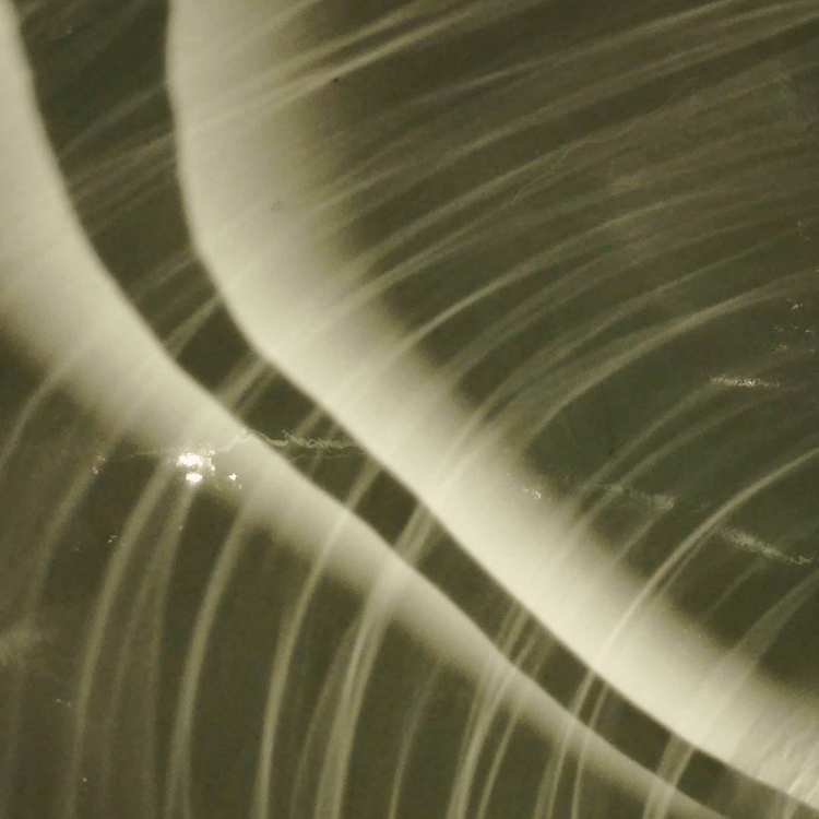 Spinea - Tempesta in un lavandino