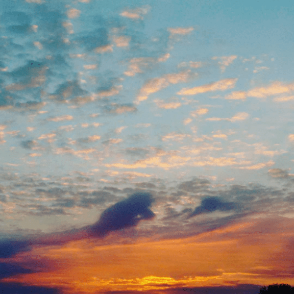 The motivation for an early morning run.