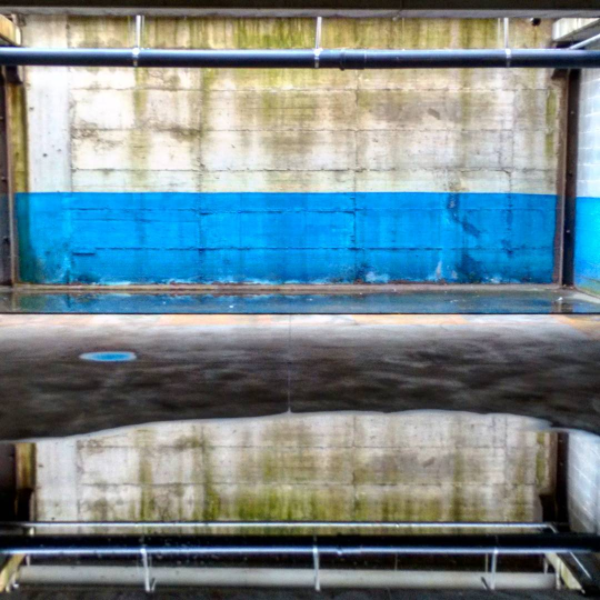 Reflections under a blue line.