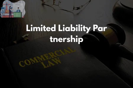 Limited Liability Partnership (LLP)