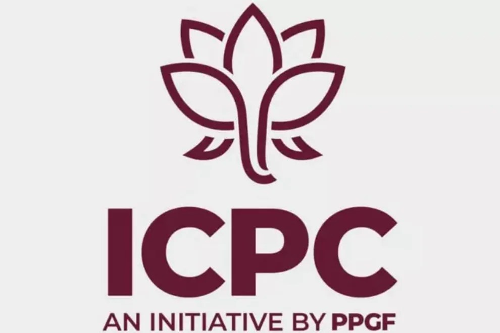 Introductory Course to Political Consulting Internship 2026 at PPGF: Apply by September 30!