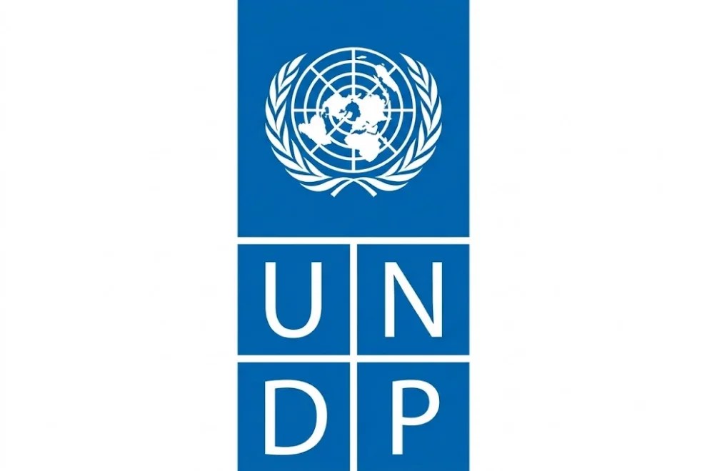 Remote Digital AI Internship at UNDP: Apply by September 30!