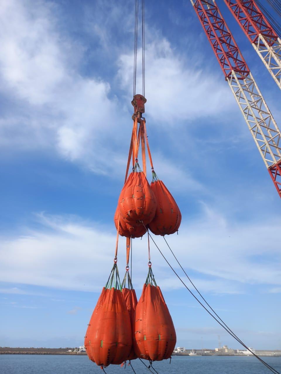 WhatsApp Image 2025-02-26 at 08.07.06 (1)