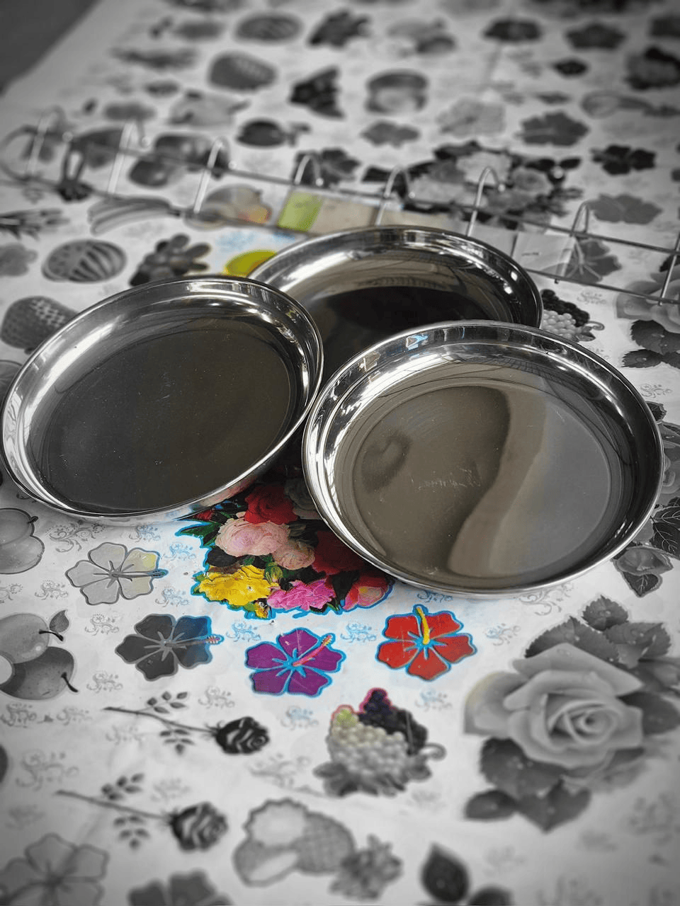Stainless steel dinner plates