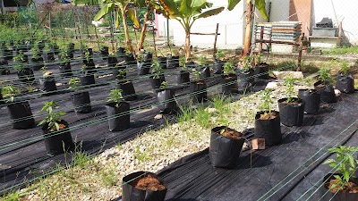 Jalan bakau chondong, 83000 batu pahat | law enforcement agency, government organization, local service. Pusat Operasi Fama Batu Pahat Fire Station Daerah Keluang Johor