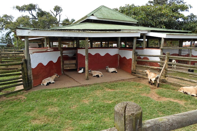 Animal farms to visit near me