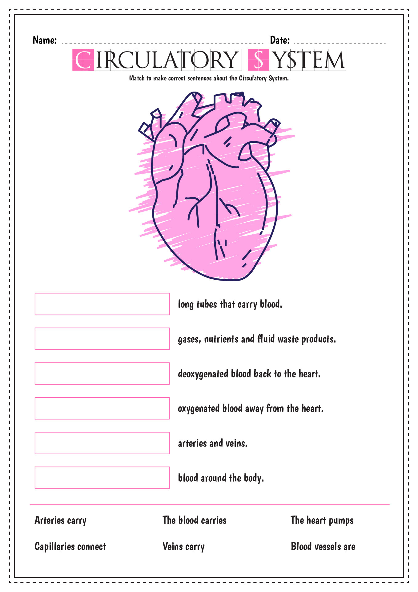 **for each of the numbers described below, label on the heart diagram.**. 11 Best Images Of Blank Heart Diagram Worksheet With Word Bank Label Heart Diagram Worksheet Worksheet Ideas