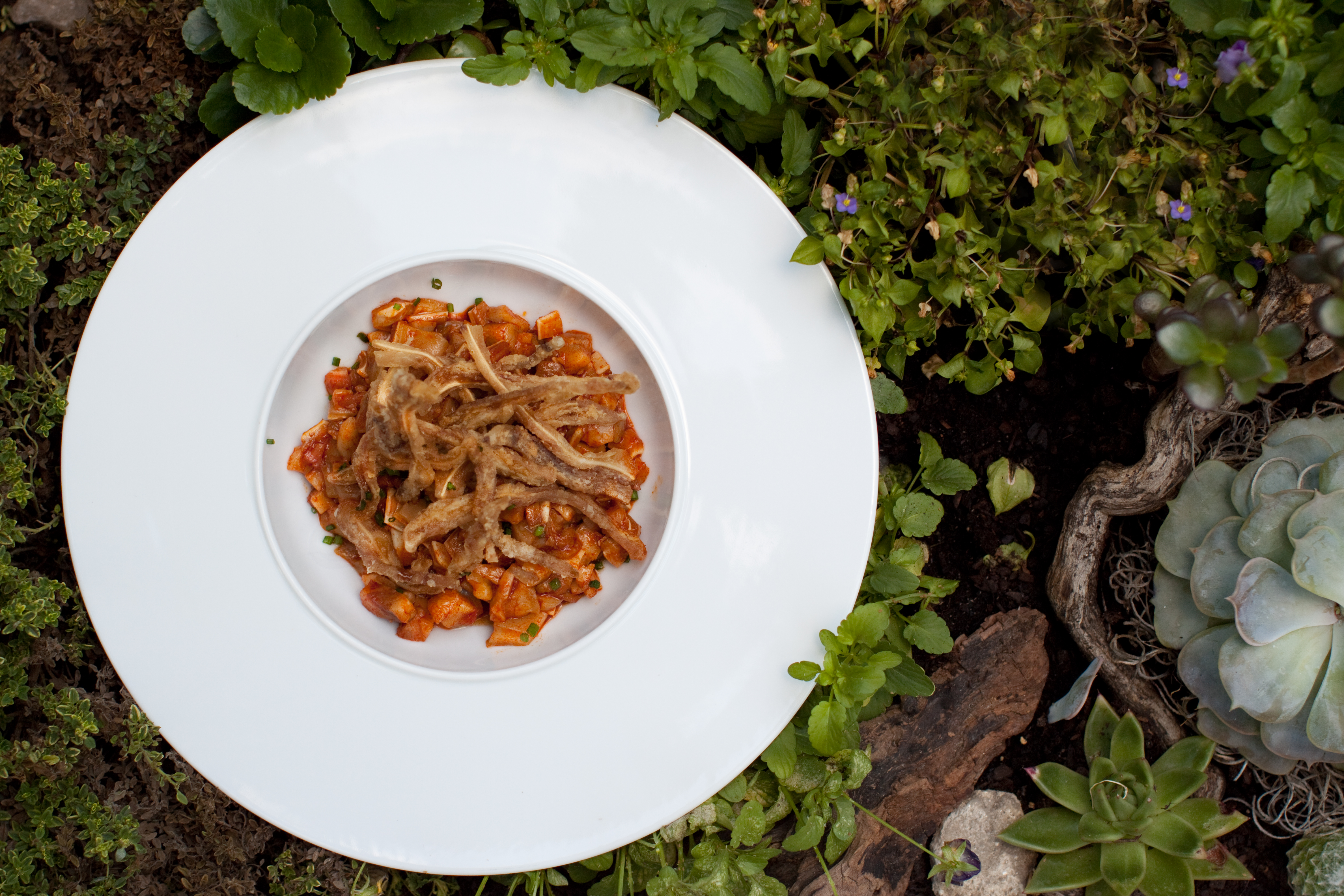 orella agridulce @lianasolis