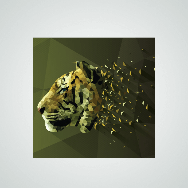 showcase-image