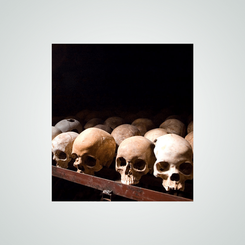 showcase-image