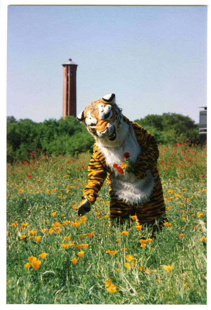 LeeRoy frolicking among wildflowers