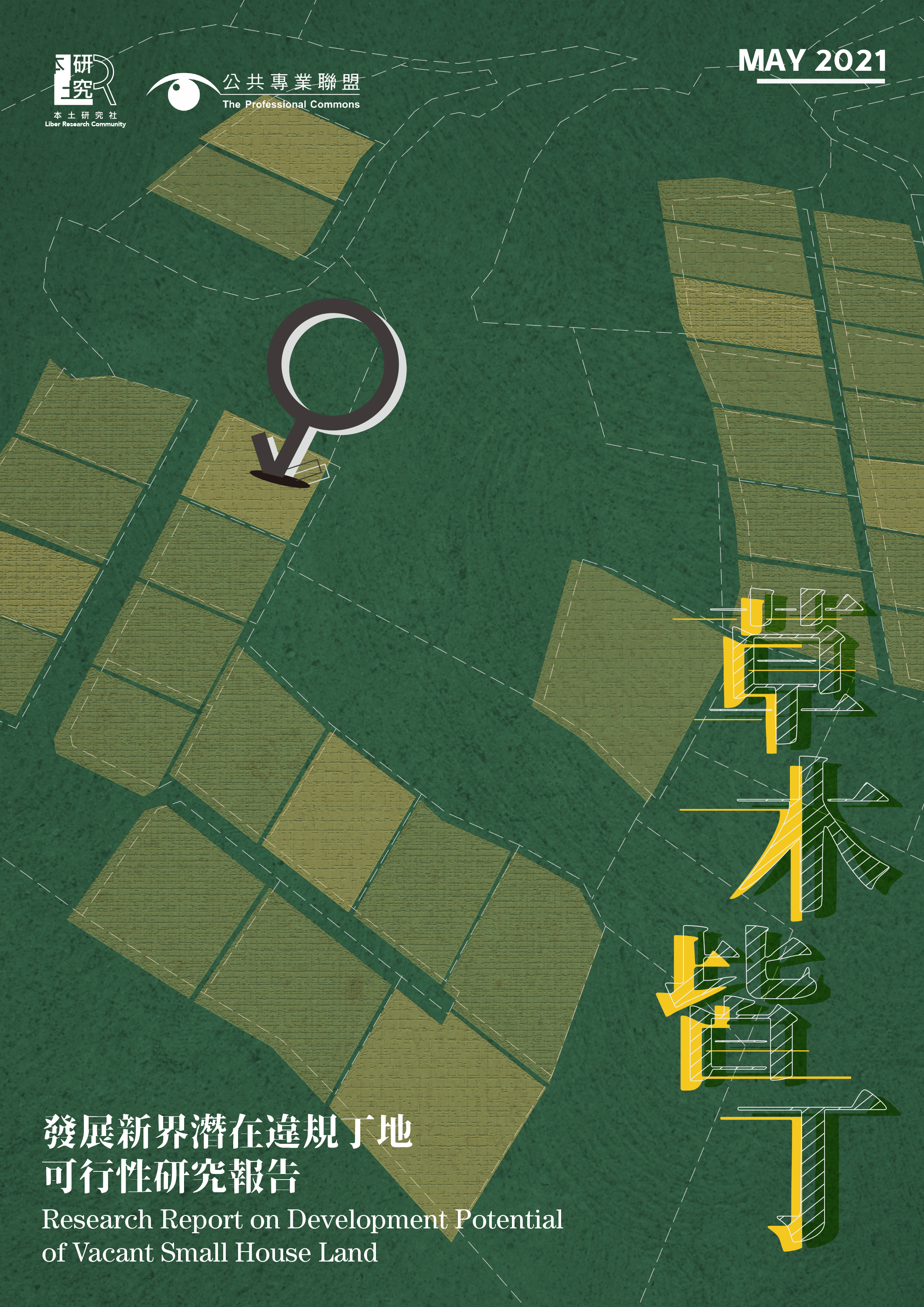 《草木皆丁 – 發展新界潛在違規丁地可行性研究報告》