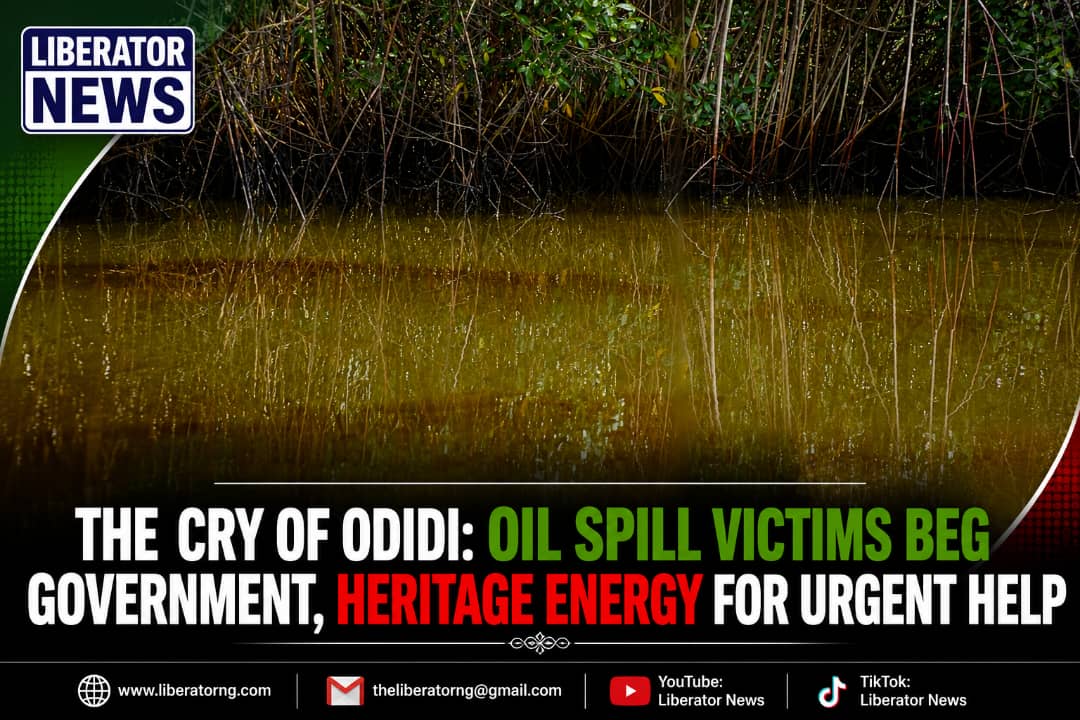 odidi