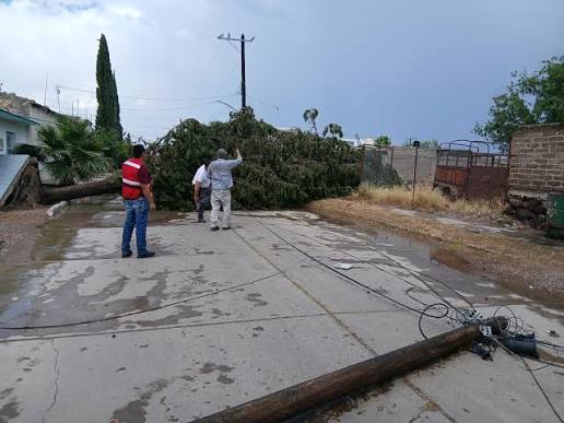 REVISAN LLUVIAS REGISTRADAS EN DISTINTOS MUNICIPIOS DE CHIHUAHUA