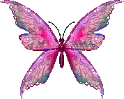 Mariposas Imagenes Glitters Gifs A Full Librakko