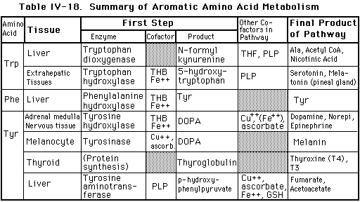 Our intent was to provide an overview of the complexity associated with the metabolic pathways by initially coloring the lines in the transit . Biochemistry Review Tables