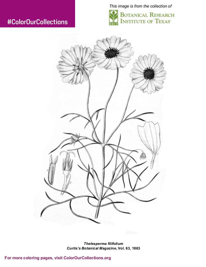 Botanical Research Institute of Texs Coloring Book
