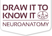 Draw It to Know It - PCOM Library