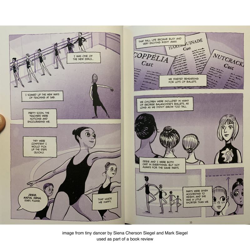 Read Tiny Dancer Brian S Anderson Webnovel - Best Nature Arts in Retina