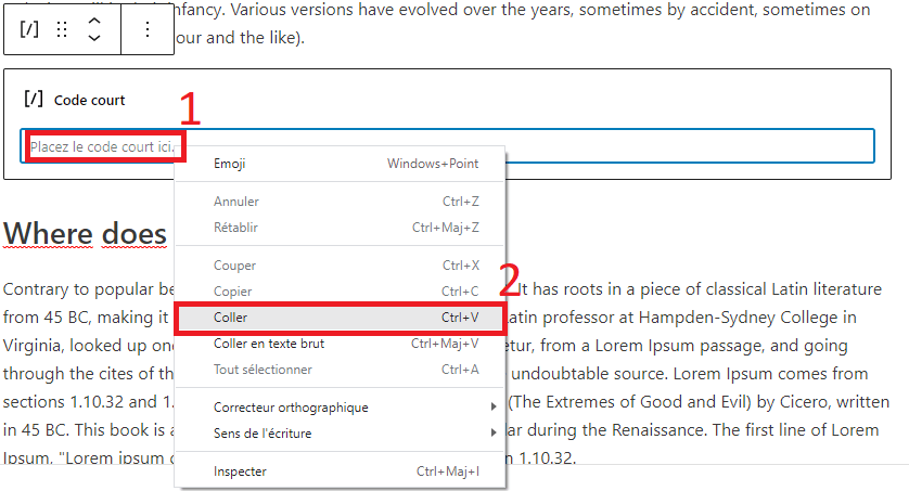 Plugin Gutenberg : coller le code court