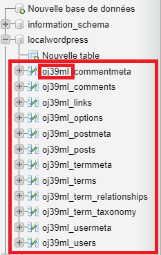 Tables et préfixe WordPress
