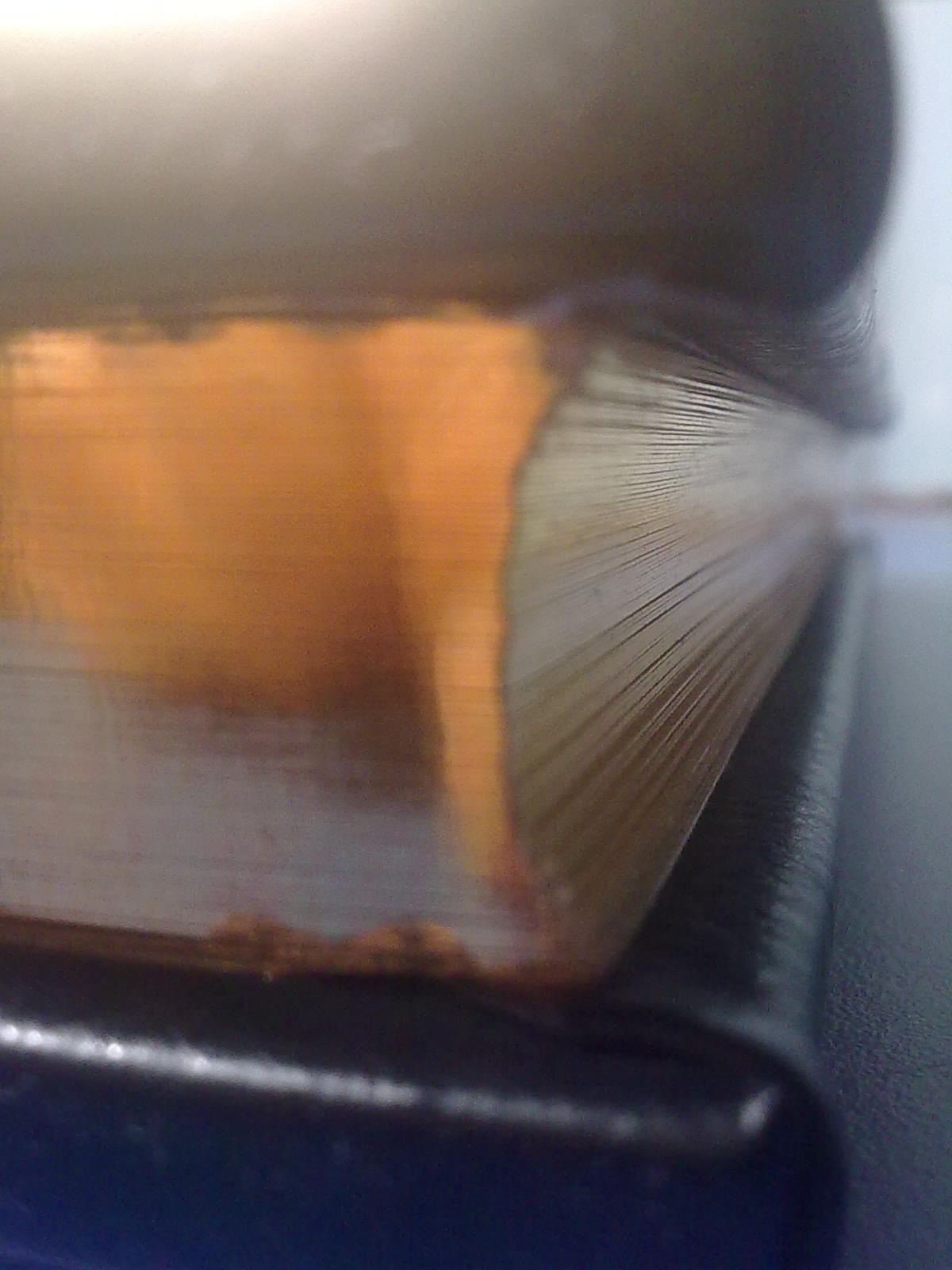 Libro de Horas ad usum Romanum