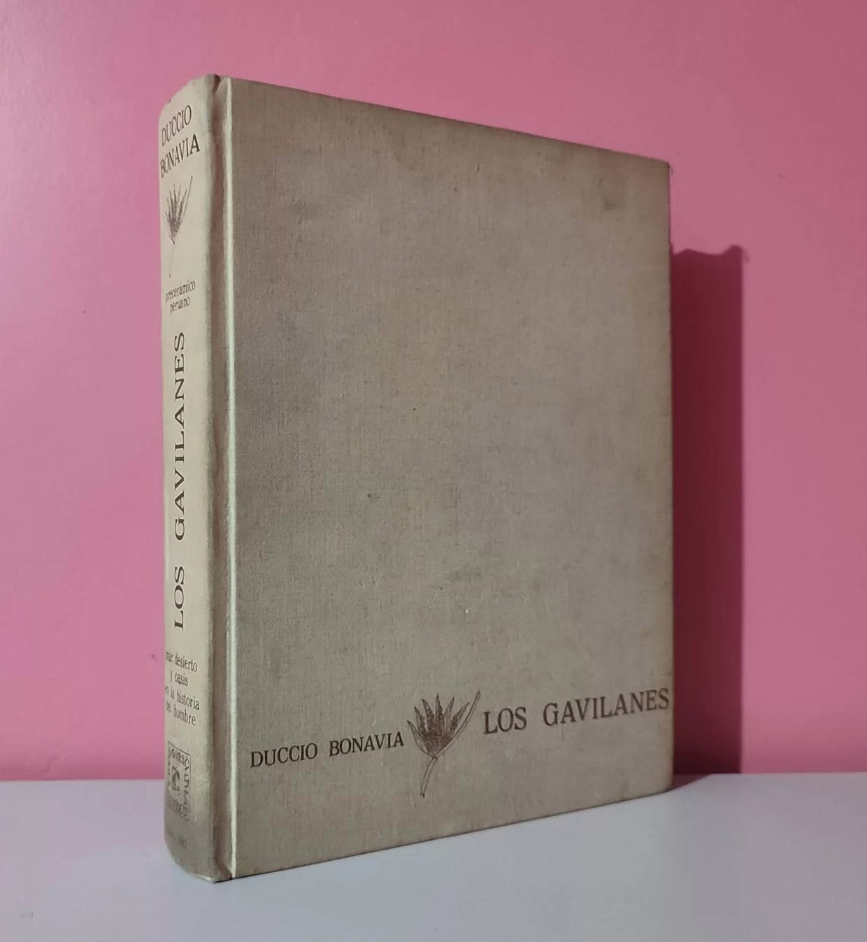 Los Gavilanes: mar, desierto y oasis en la historia del hombre