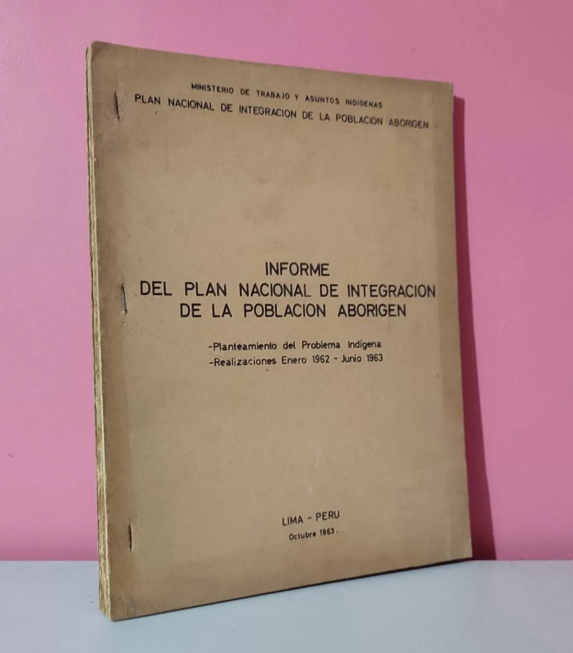 Informe del Plan Nacional de Integración de la Población Aborígen