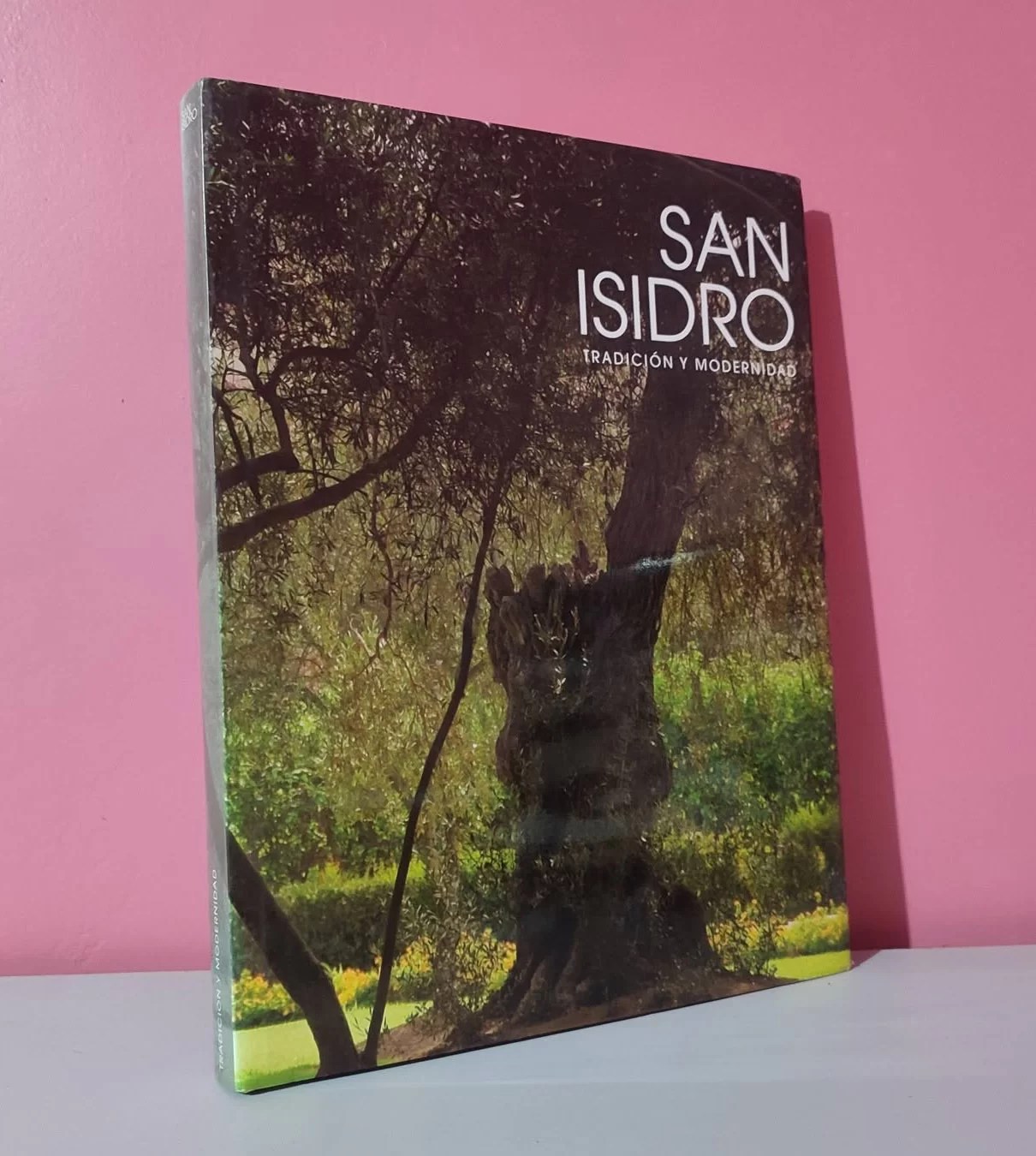 San Isidro. Tradición y Modernidad