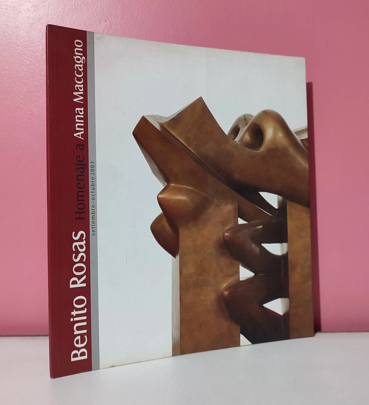 Benito Rosas / Homenaje a Anna Maccagno