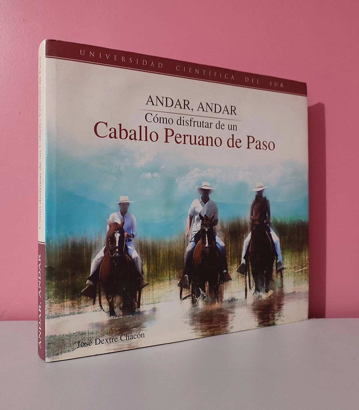 Andar, andar. Como disfrutar de un Caballo Peruano de Paso
