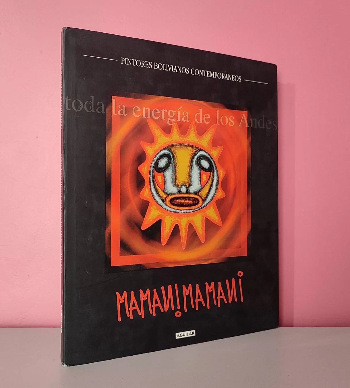Mamani Mamani, obra 1983-2005