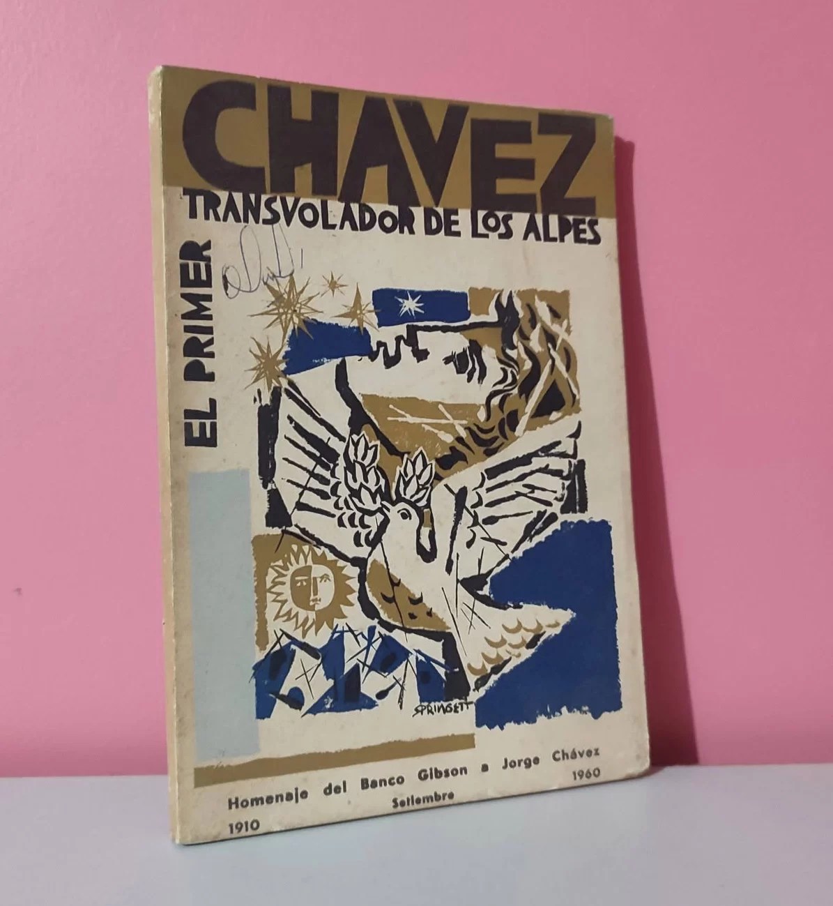 Chávez, el primer transvolador de los Alpes