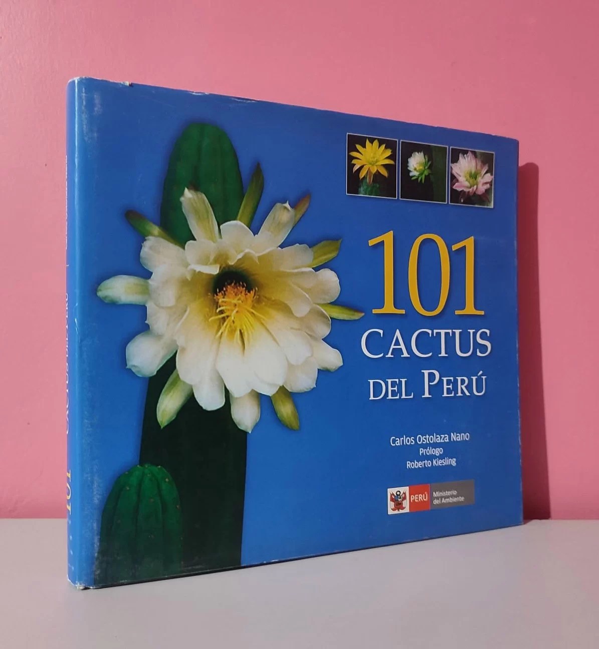 101 cactus del Perú