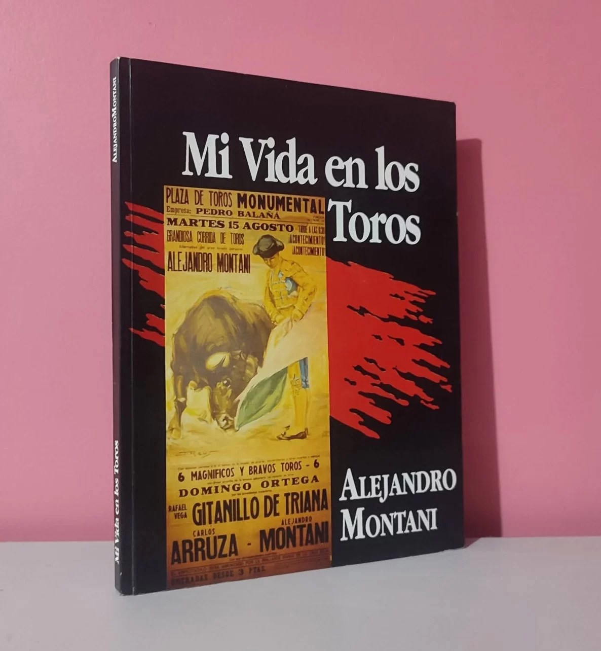 Mi vida en los toros