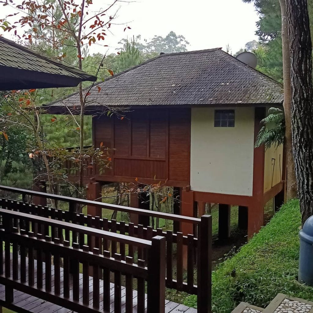 Hotel di bandung yang bagus 9 hotel bernuansa hutan alam