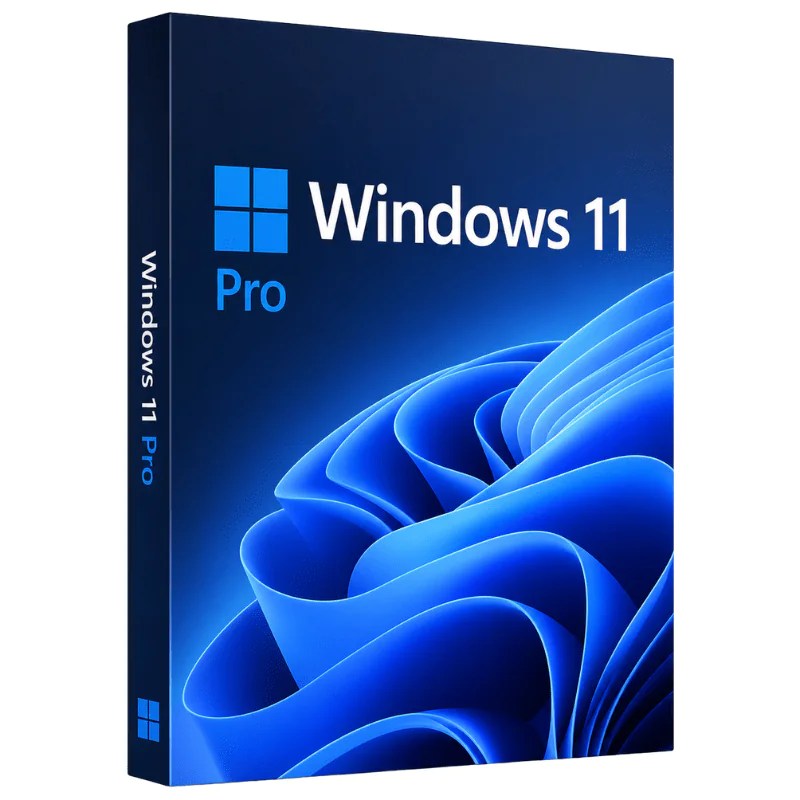 Windows 11 Professional