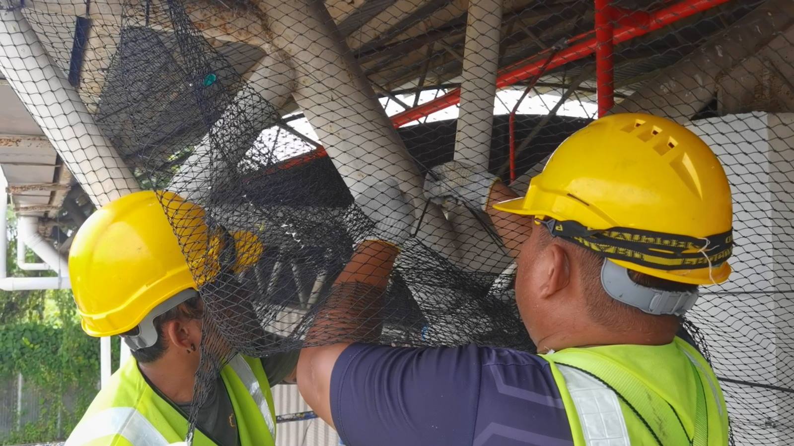 bird netting bird control 3