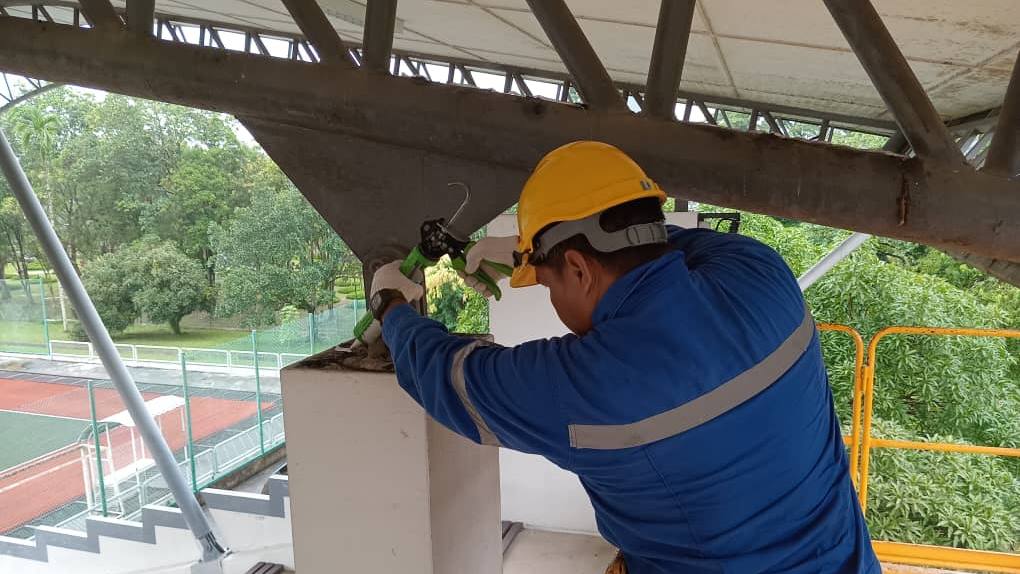 bird repellent gel service bird control 4