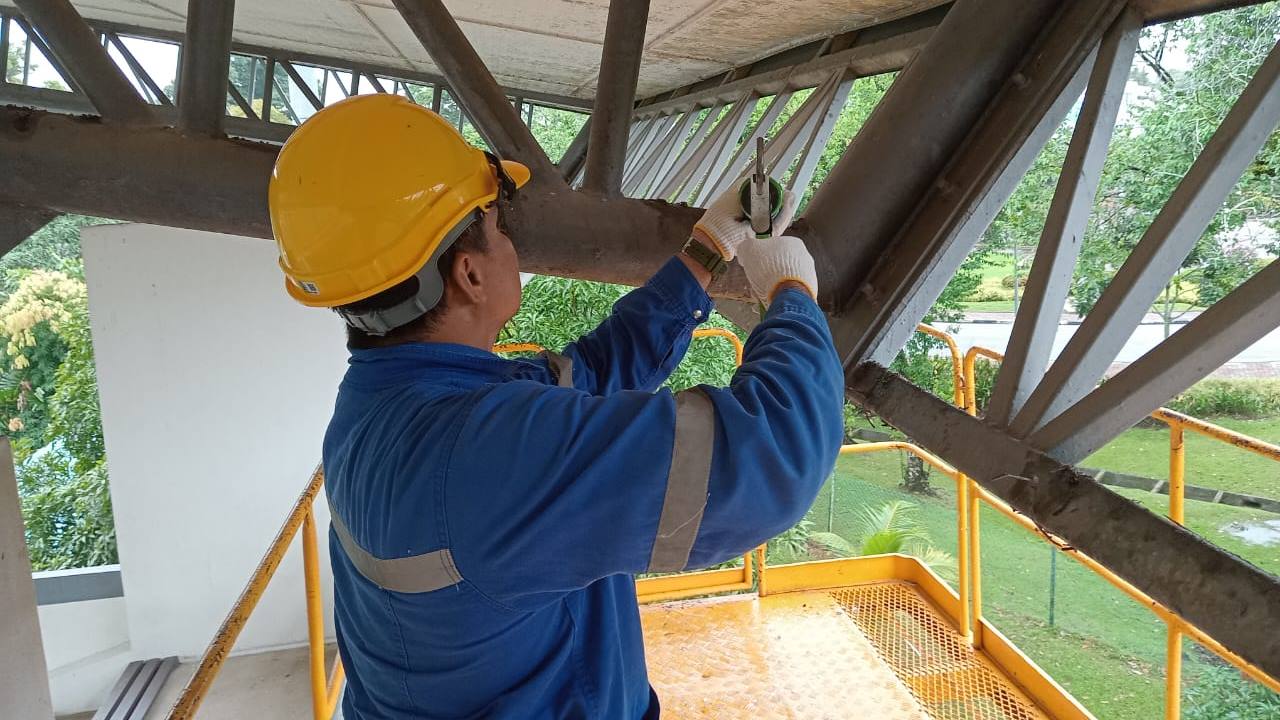 bird repellent gel service bird control 5