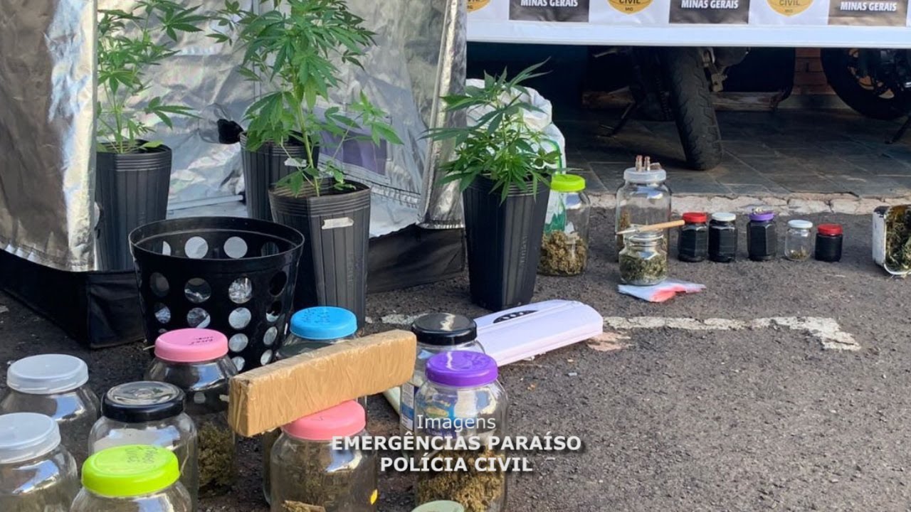 Empresário do tráfico e “sócio” são presos em Paraíso