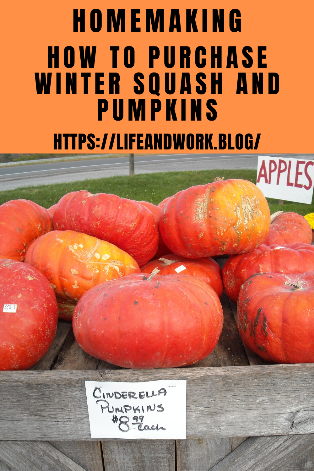 Homemaking - How to Purchase Winter Squash and Pumpkins