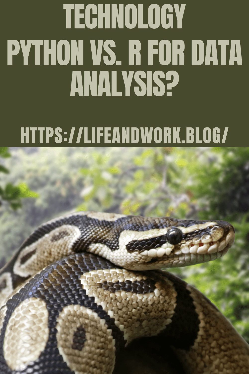 Technology – Python Vs. R for Data Analysis?