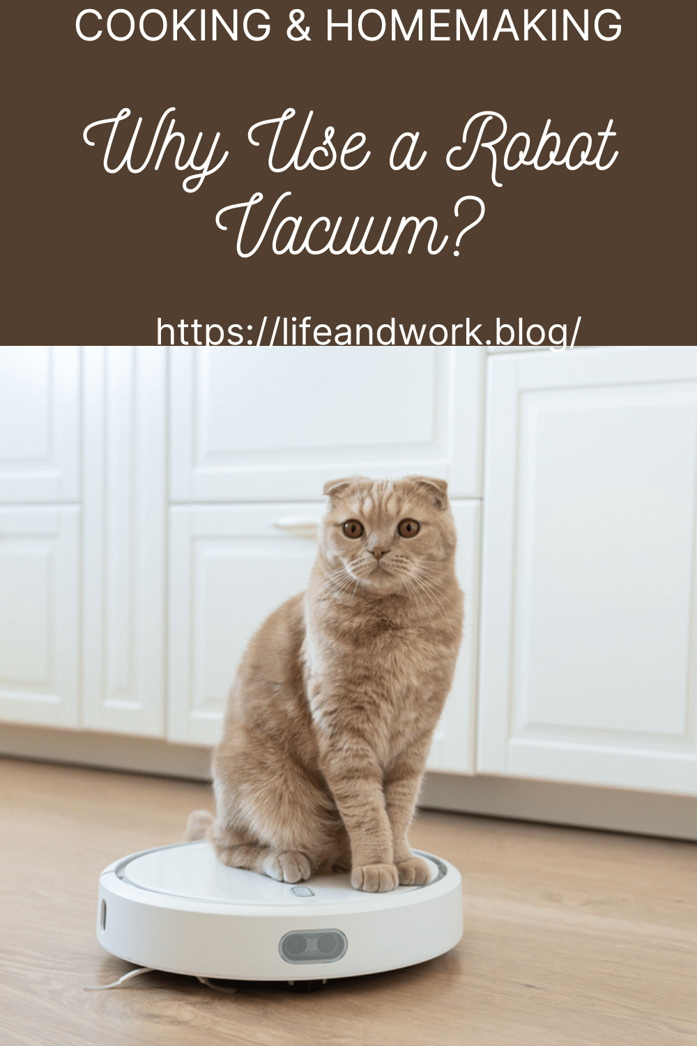 Why Use a Robot Vacuum?
