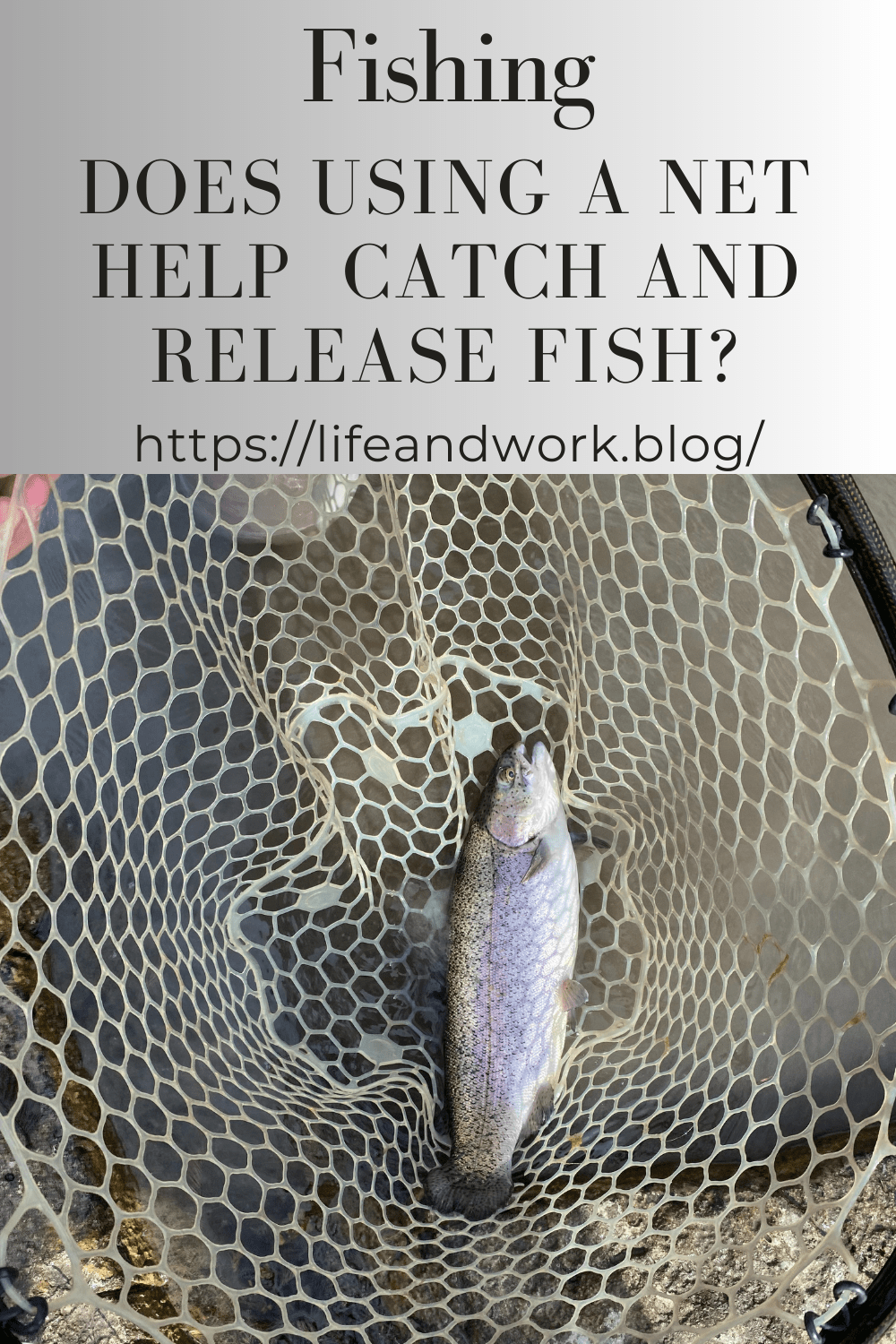 Does Using a Net Help Catch and Release Fish?