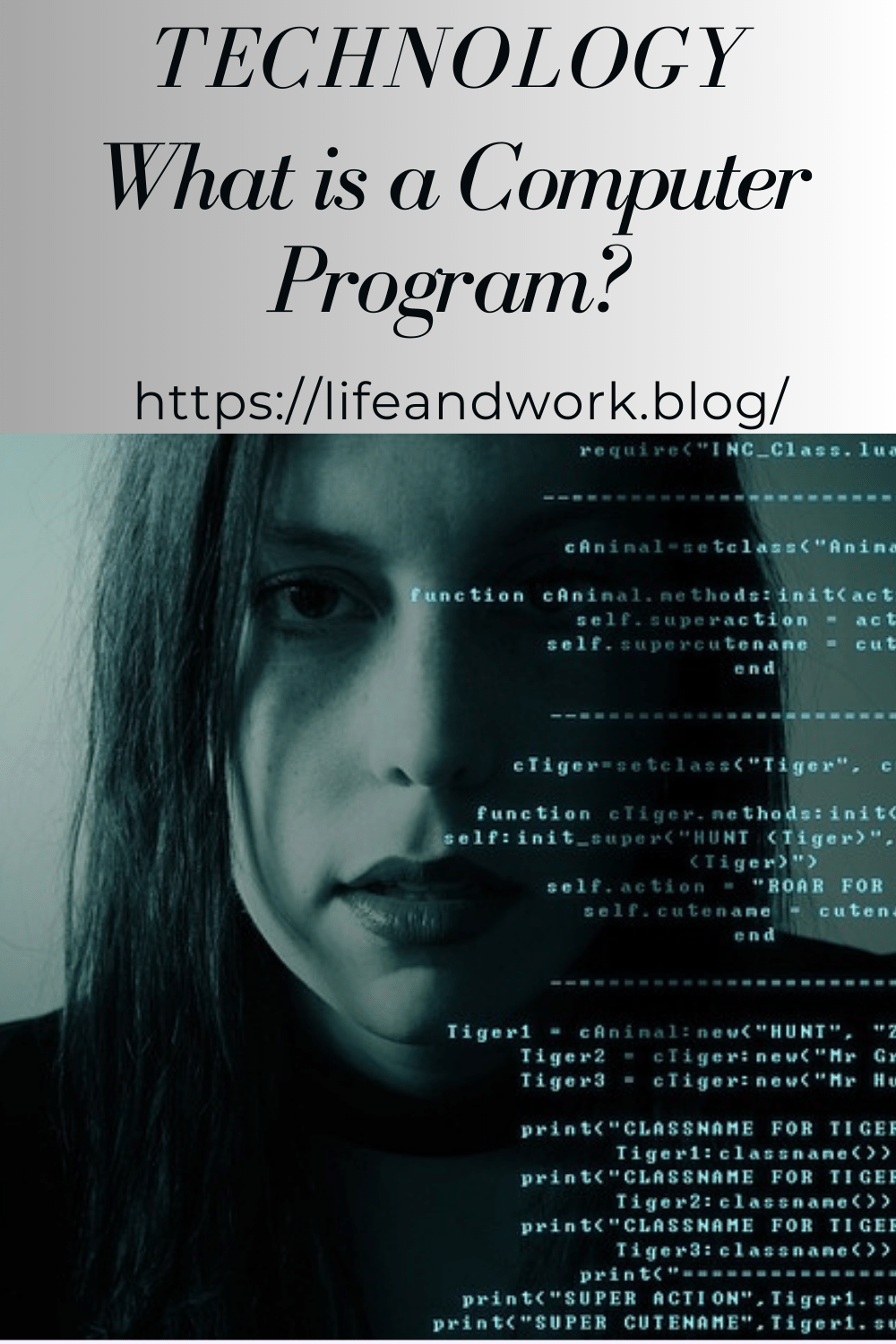 What is a Computer Program?