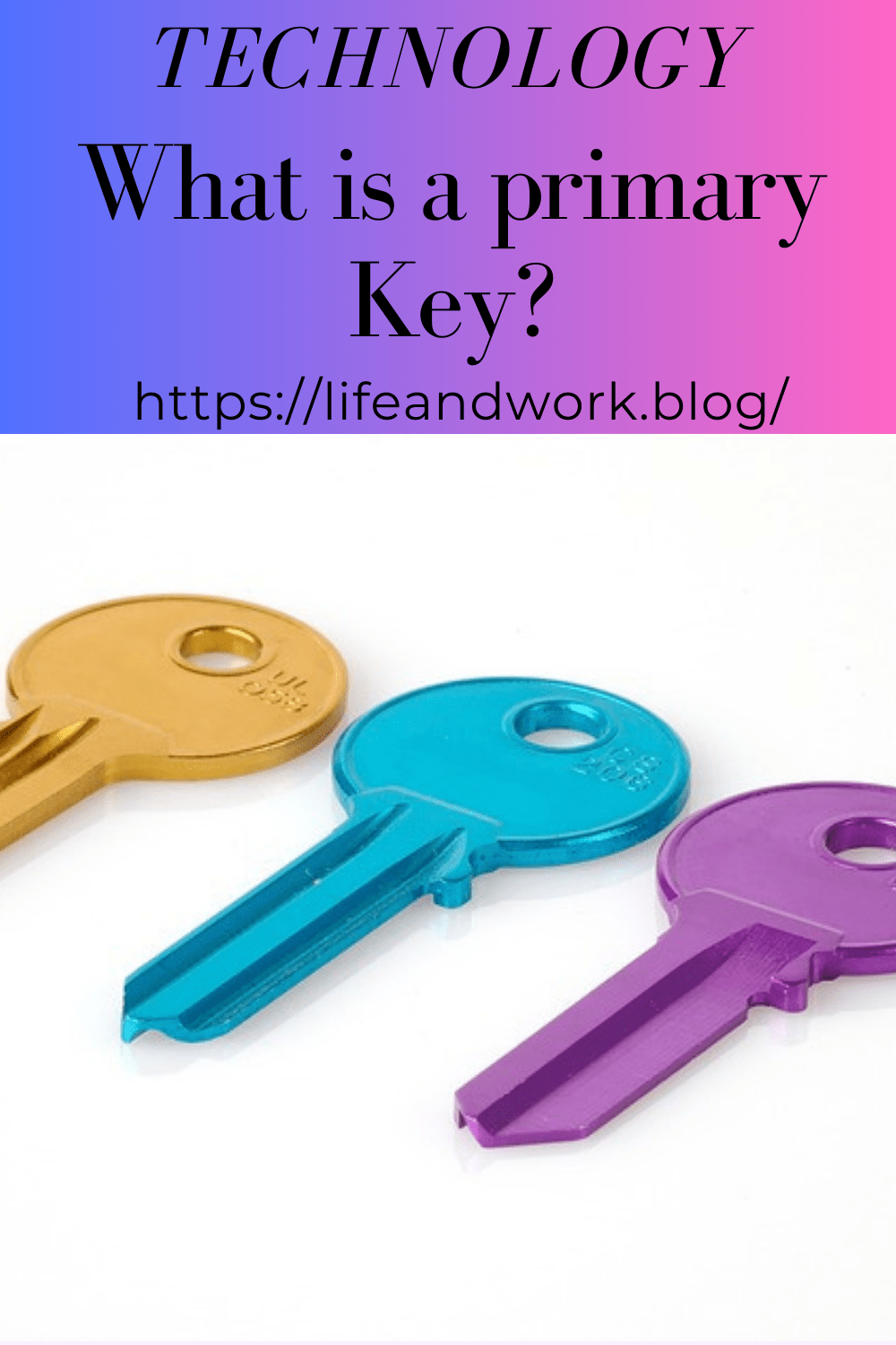 Database – What is a Primary Key?
