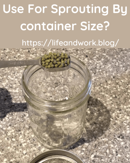 How Many Seeds To Use For Sprouting By container Size